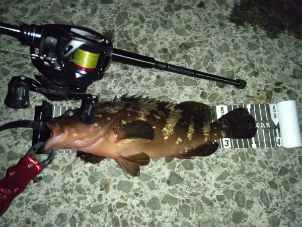 久しぶりに考えさせられた！