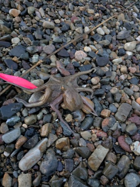 ~キョウヤマ~ 執念の1杯!