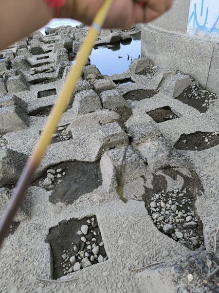 自転車でテナガエビ