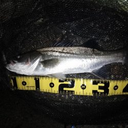 良くない状況の中…