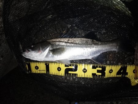 良くない状況の中…