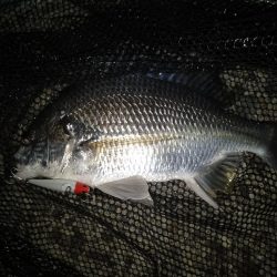 雨が欲しい所…