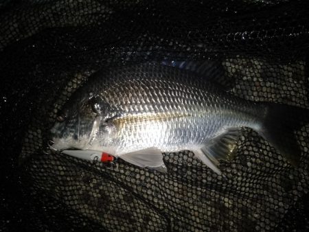 雨が欲しい所…