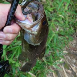 パンチショット