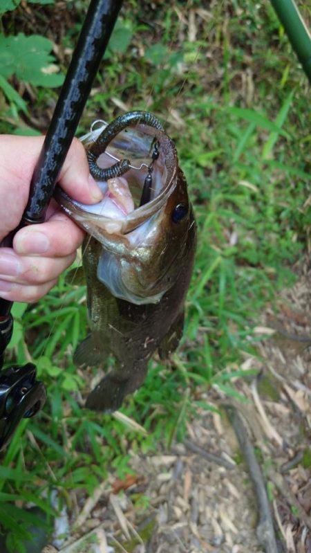 パンチショット