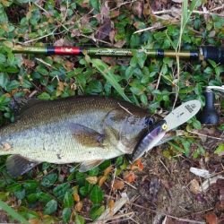 水面〜ボトムまで