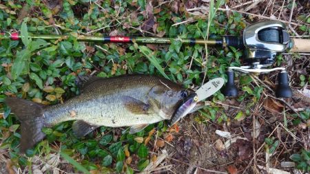 水面〜ボトムまで