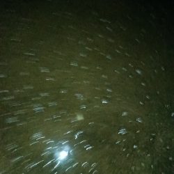 夜間ちょい投げ〜