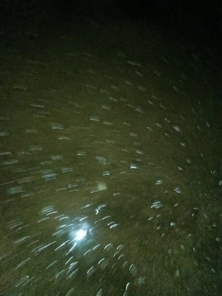 夜間ちょい投げ〜