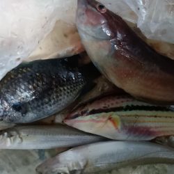 ふらっと夕まぐれ