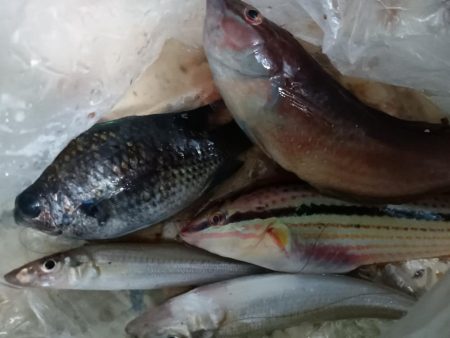 ふらっと夕まぐれ