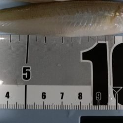 ふらっと西淡路