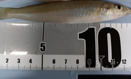 ふらっと西淡路