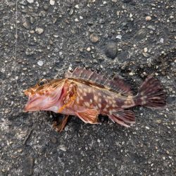 セリア恐るべし