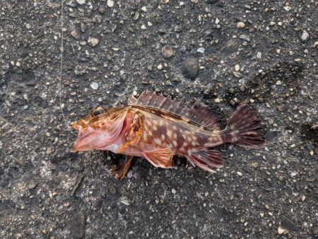 セリア恐るべし