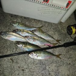 フロートゲーム。