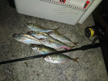 フロートゲーム。