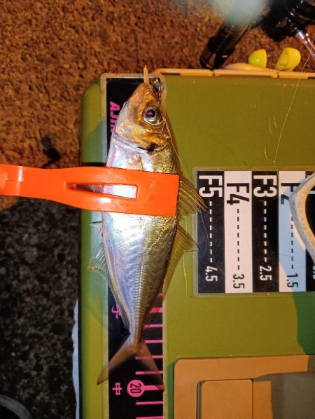 アジング18オクト2