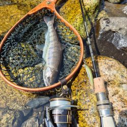 用事済ませて昼前に到着