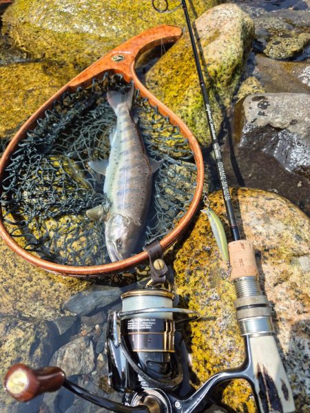 用事済ませて昼前に到着