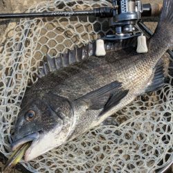 最上流域サイト&トップチニング