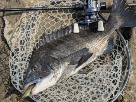 最上流域サイト&トップチニング