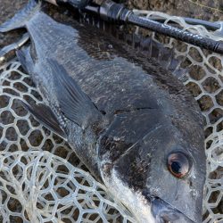 まるで真冬！激ムズ広島チニング