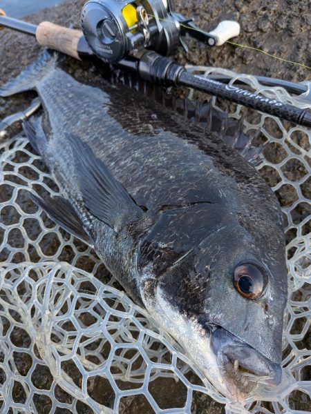 まるで真冬！激ムズ広島チニング