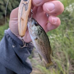 お手軽家前fishing！