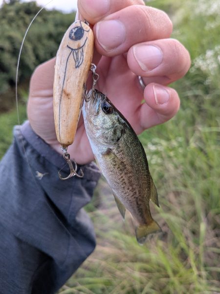 お手軽家前fishing！