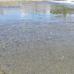 トップチニング