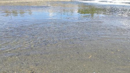 トップチニング