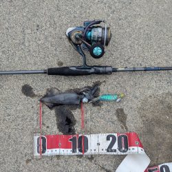 釣果以上の出会いに感謝