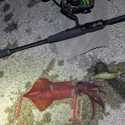 数出るようになってきた