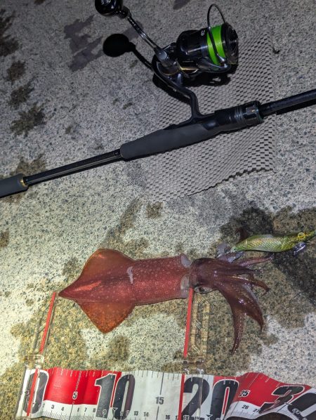 数出るようになってきた