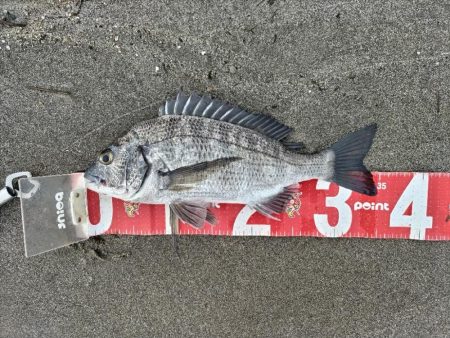 短時間釣行で釣れました!