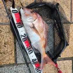 雨の中チニング