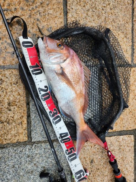 雨の中チニング