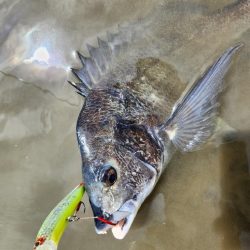 広島河川クロスウェイクチニング