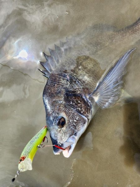 広島河川クロスウェイクチニング