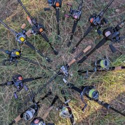 広島市内チニング