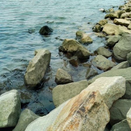 手長エビ終盤？