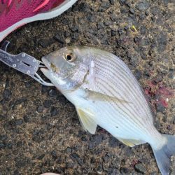 全国的に夏です。