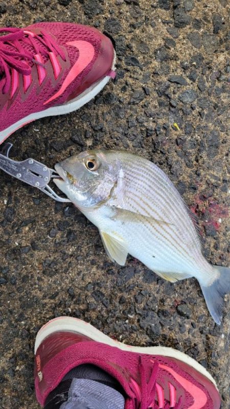 全国的に夏です。