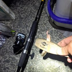 真夜中の穴子釣り