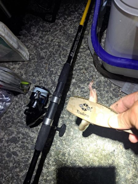 真夜中の穴子釣り