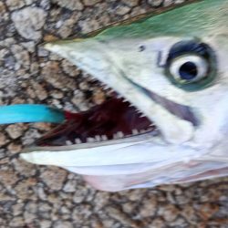 7月13日日曜日 2カ所目