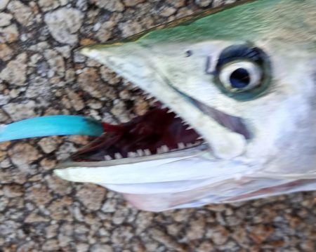 7月13日日曜日 2カ所目