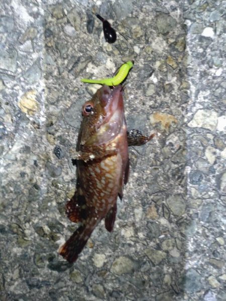 初めてのロック