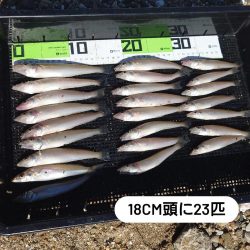 遠投キス釣り